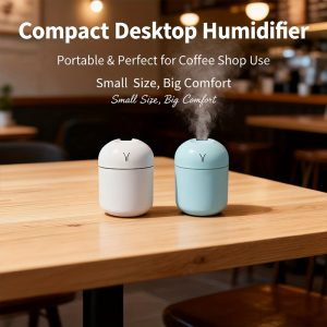 Desk Humidifier with Spray